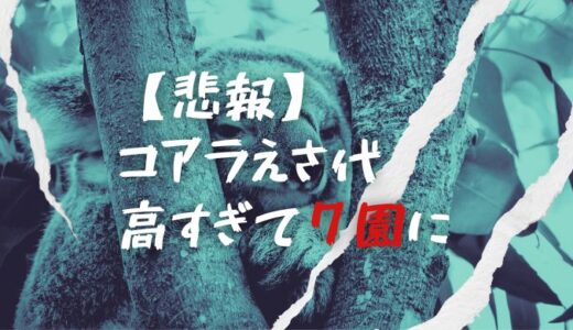 コアラえさ代高すぎ