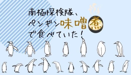 ペンギンを食べる