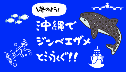 【沖縄】ジンベエザメと一緒に泳げるおススメスポット紹介