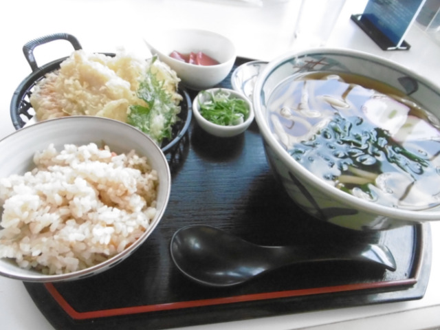 琵琶湖博物館湖の幸の天ぷらうどん定食