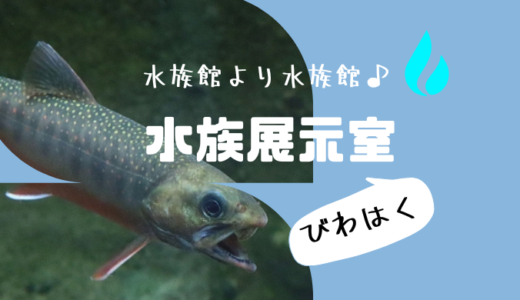 琵琶湖博物館の水族展示室は淡水生物展示国内最大級の水族館