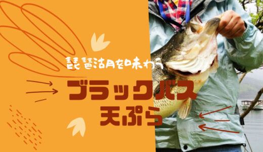 琵琶湖博物館に行ってブラックバスの天ぷらを食べよう