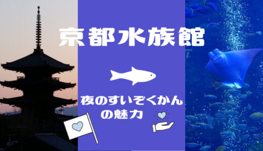 京都水族館「夜のすいぞくかん」これだけは押さえて！見どころまとめ