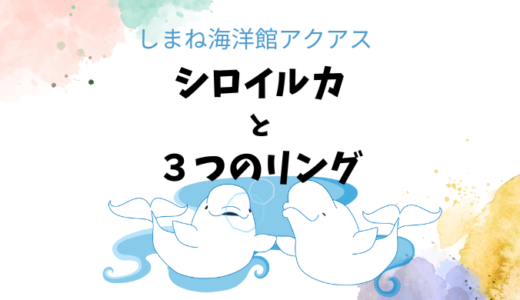 バブルリングはなぜできる？アクアスシロイルカ３つのリングの違い