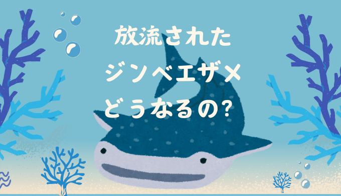 海遊館のジンベエザメ放流でどうなる